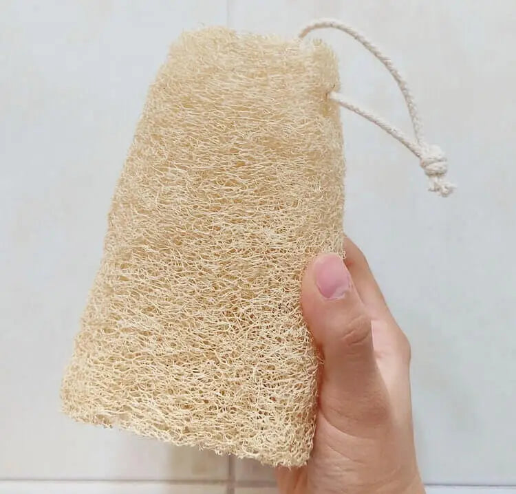 Paste - Esponja de Lufffa
